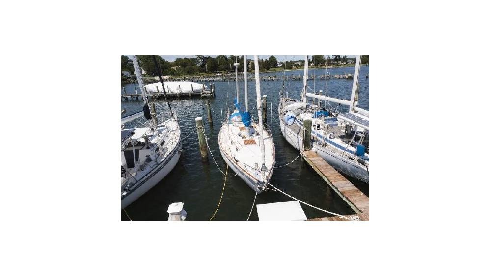 Bow image